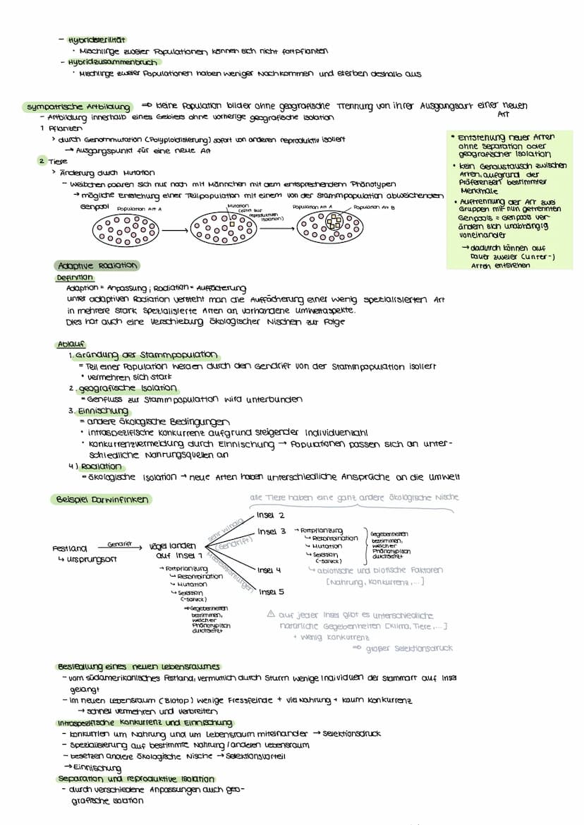 Evolutionstheorien
EVOLUTION
Definition
Bei einer Evolutionstheorie randelt es sich um eine wissenschaftliche Beschreibung über die verander