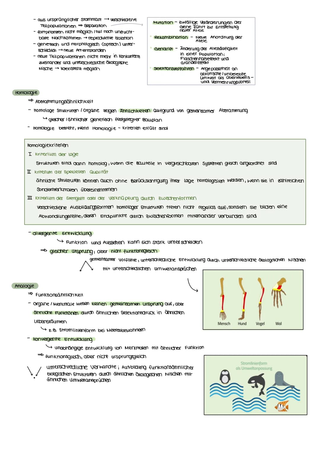 Evolutionstheorien
EVOLUTION
Definition
Bei einer Evolutionstheorie randelt es sich um eine wissenschaftliche Beschreibung über die verander