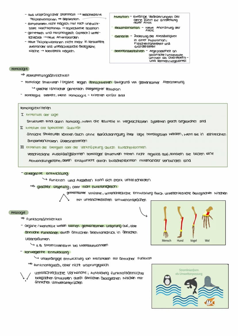 Evolutionstheorien
EVOLUTION
Definition
Bei einer Evolutionstheorie randelt es sich um eine wissenschaftliche Beschreibung über die verander