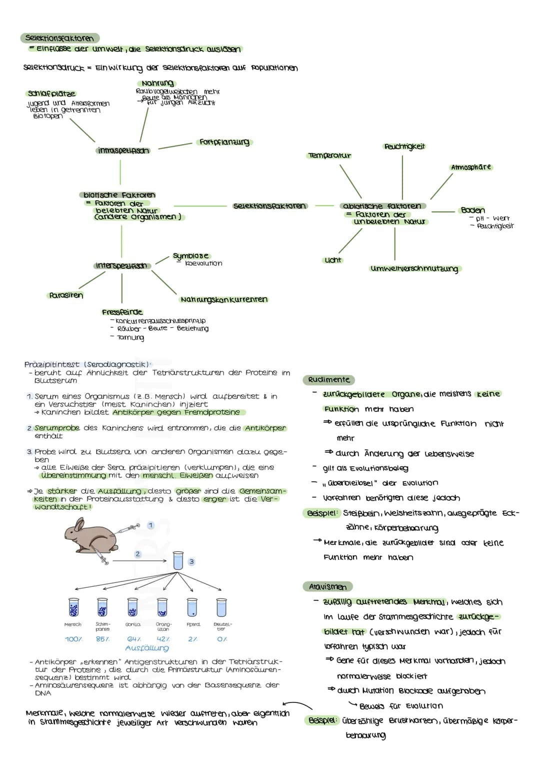 Evolutionstheorien
EVOLUTION
Definition
Bei einer Evolutionstheorie randelt es sich um eine wissenschaftliche Beschreibung über die verander