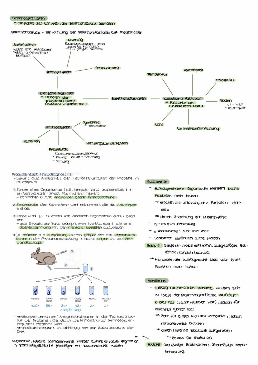 Evolutionstheorien
EVOLUTION
Definition
Bei einer Evolutionstheorie randelt es sich um eine wissenschaftliche Beschreibung über die verander
