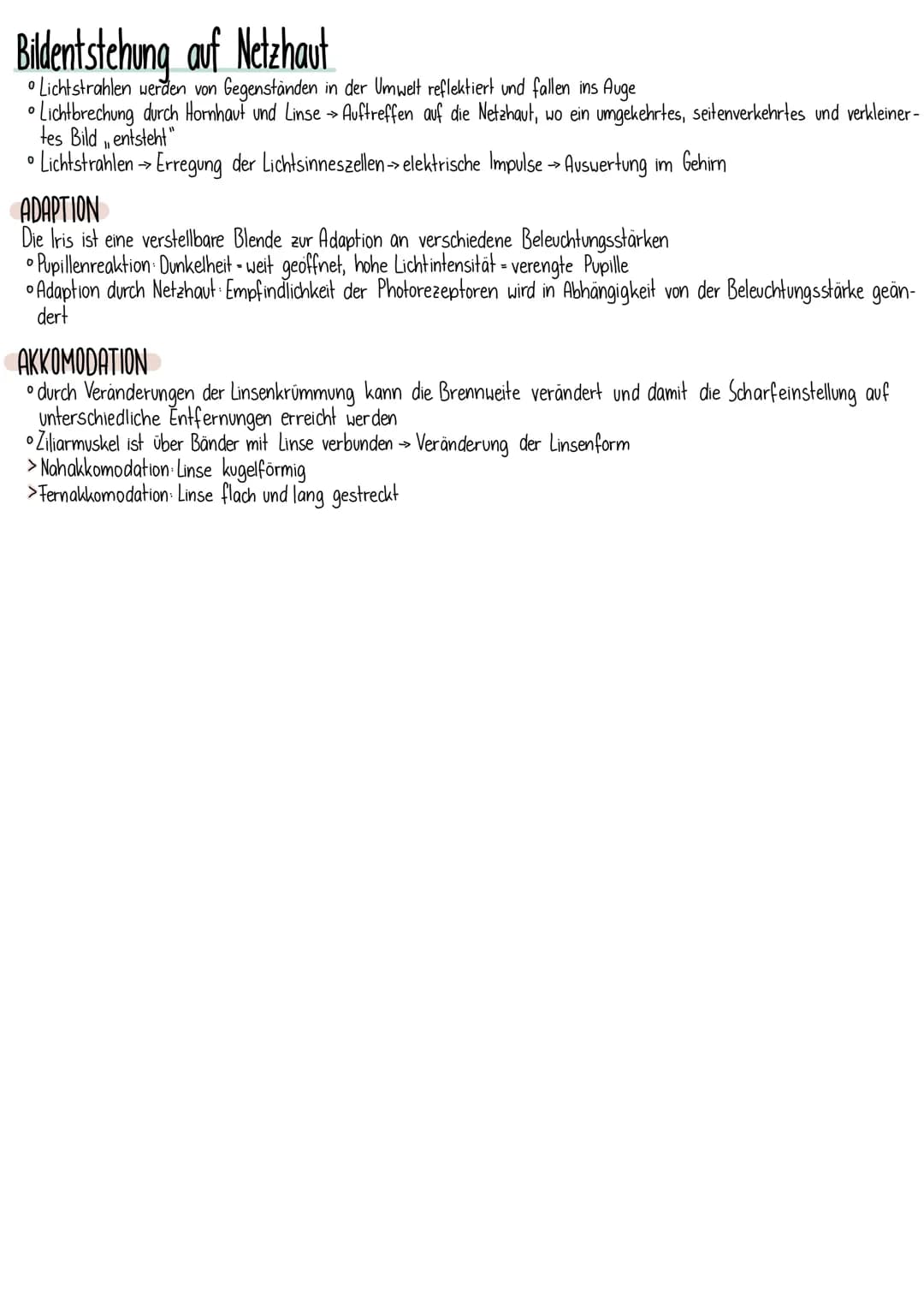 11
10
9
8
12
7
13
6
Struktur
optischer Apparat
Lederhaut
Hornhaut
Augenmuskulatur
Nervenzellen
1
DAS
0
• Sinnes zelltypen.
BF
Auge
1 Lederha