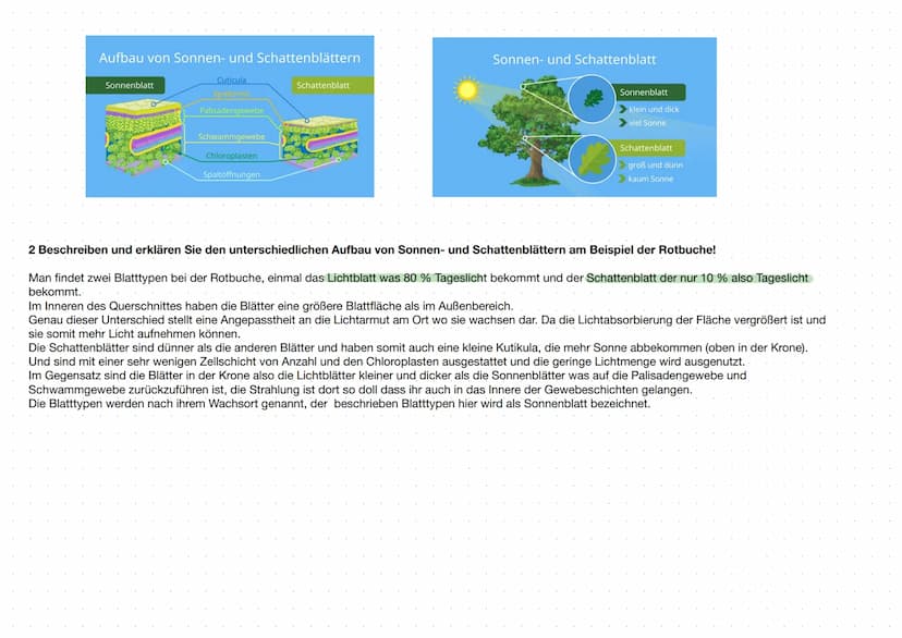 Wechselbeziehungen zwischen Lebewesen
Paratismus
versorgung mit Ressourcen durch andere Art
· Wirt ist meist größer als Parasit
Parasiten nu