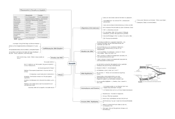 Know MindMap Übersicht Genetik thumbnail