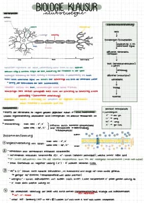 Know Neurobiologie|Nervenzellen|Aktionspotential|Geruchssinn thumbnail