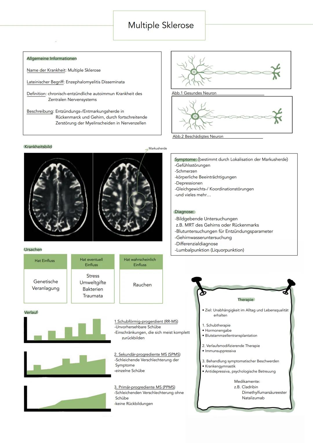 # Multiple Sklerose

Allgemeine Informationen

Name der Krankheit: Multiple Sklerose

Lateinischer Begriff: Enzephalomyelitis Disseminata

D
