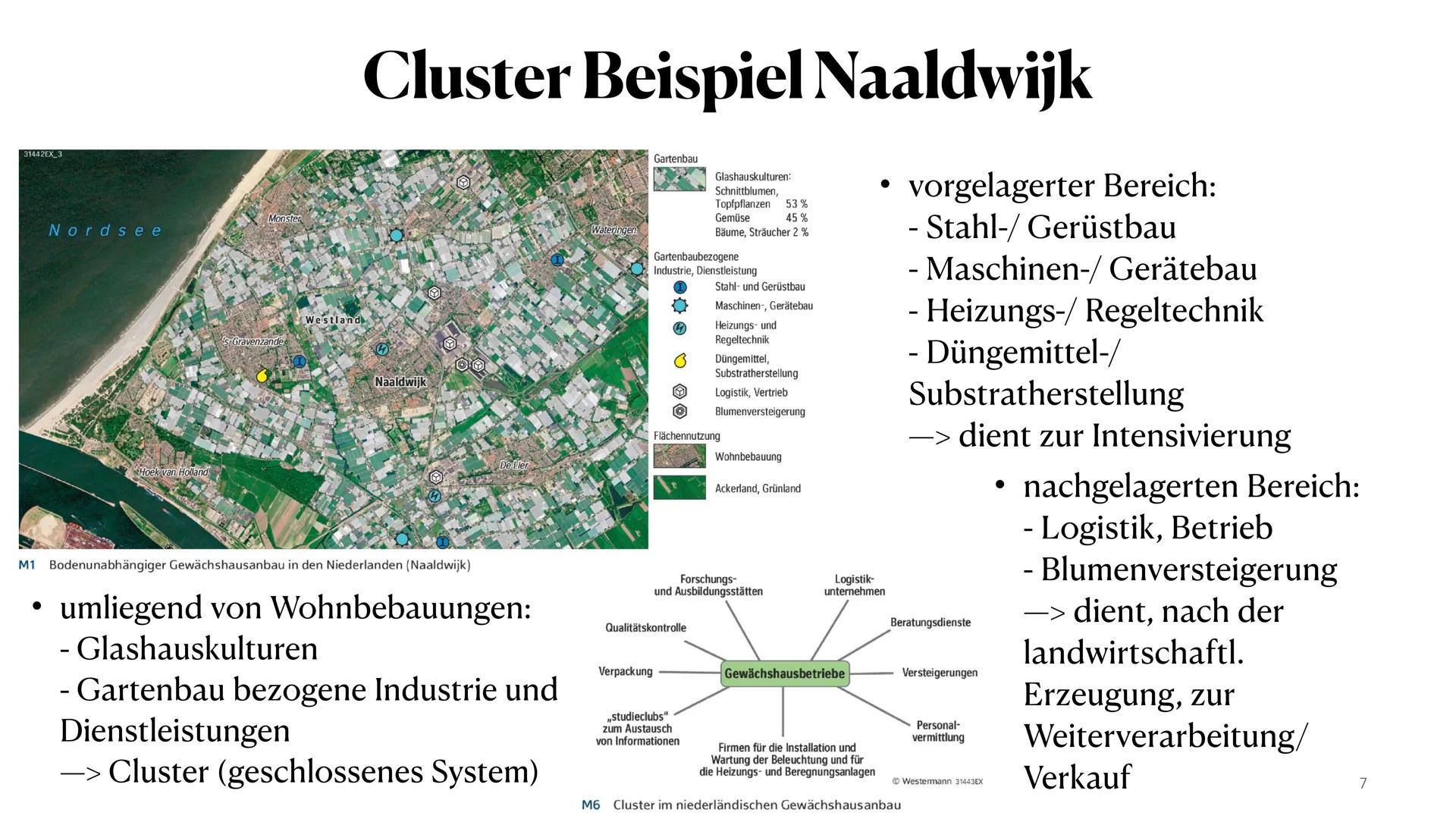 Gewächshausanbau in den
Niederlanden
JAM ●
●
• Gartenbaubetriebe
Entwicklung der Gewächshausbetriebe
●
• Cluster Beispiel Naaldwijk
Verbreit