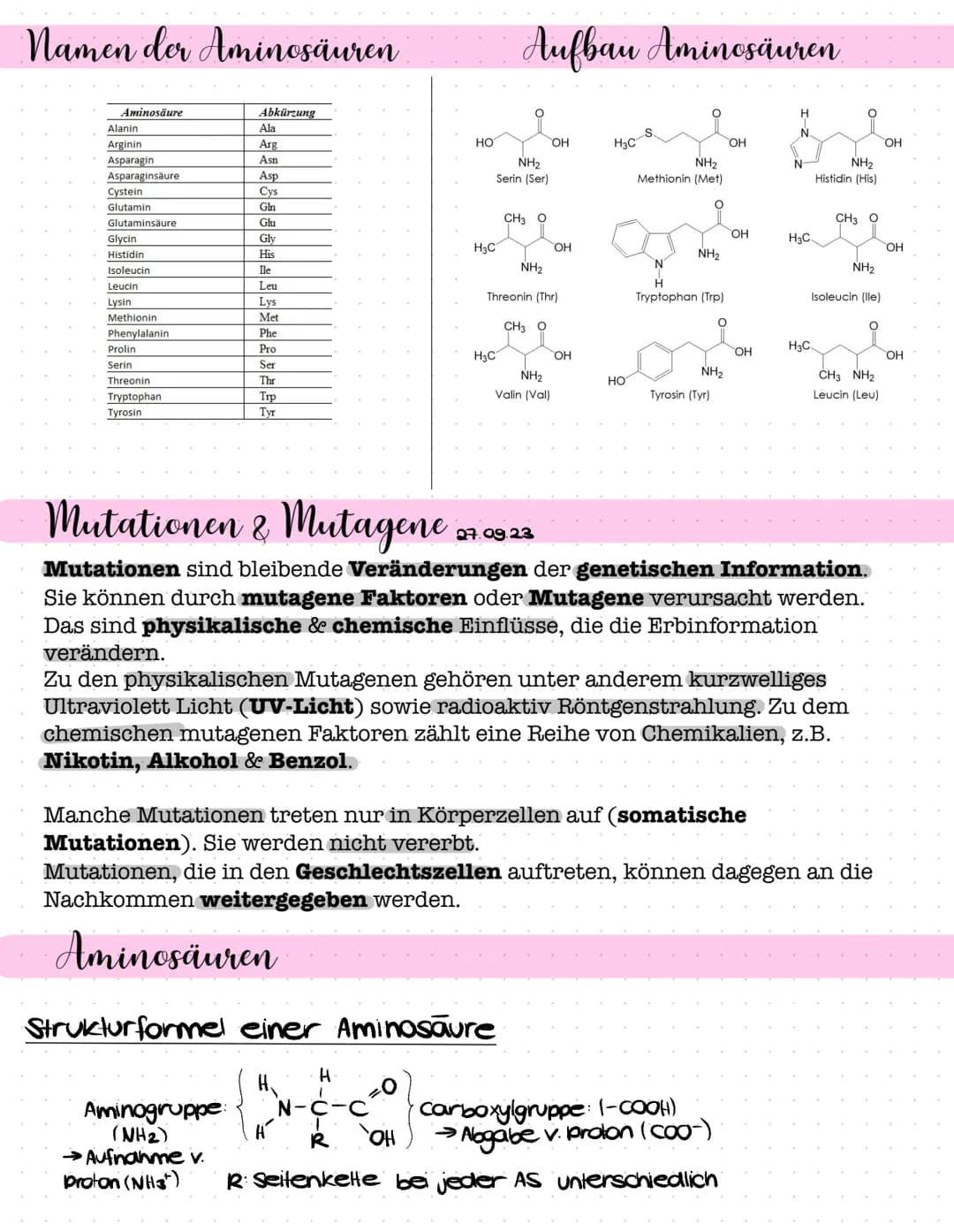 Mitose
(1) Interphase
(2) prophase
(3) Melaphase
(4) Anaphase
(5) Telophase
→2 diploide genet. ident. Tochterzellen
Interphase.
Prophase
Mel