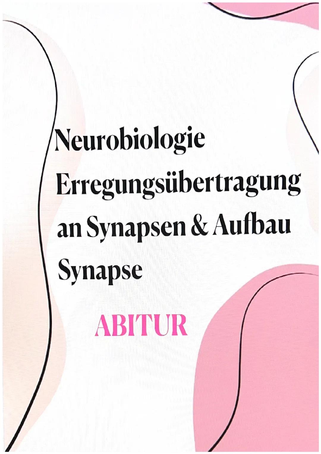 Neurobiologie: Erregungsübertragung Synapse & Aufbau einer Synpase