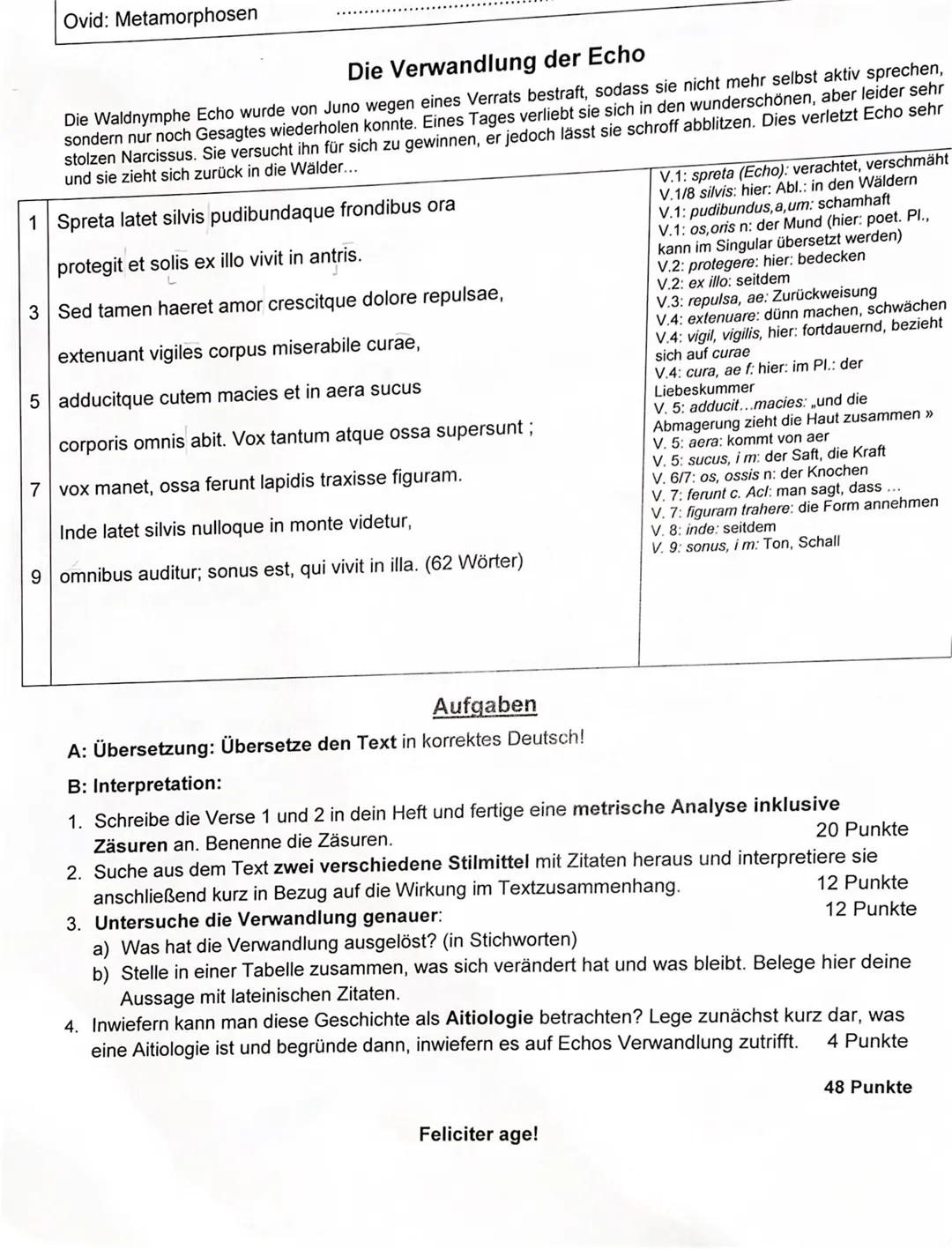 Narziss und Echo: Ovids Geschichte leicht erklärt