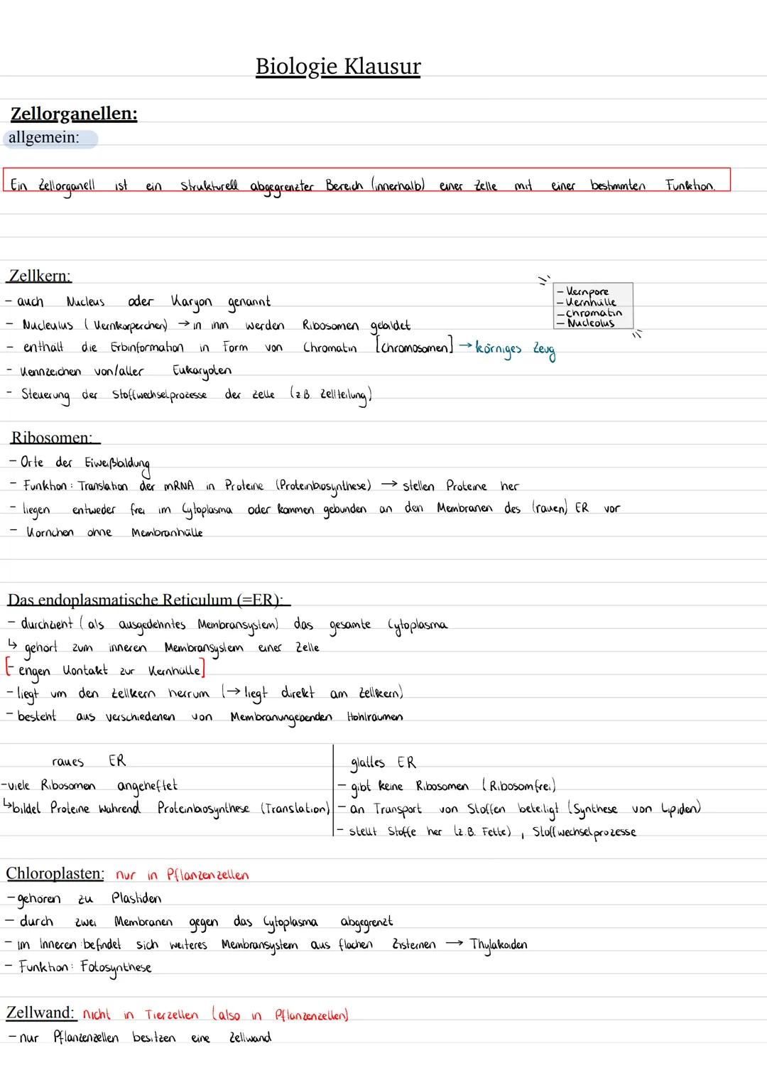 Zellorganellen (Cytologie)
