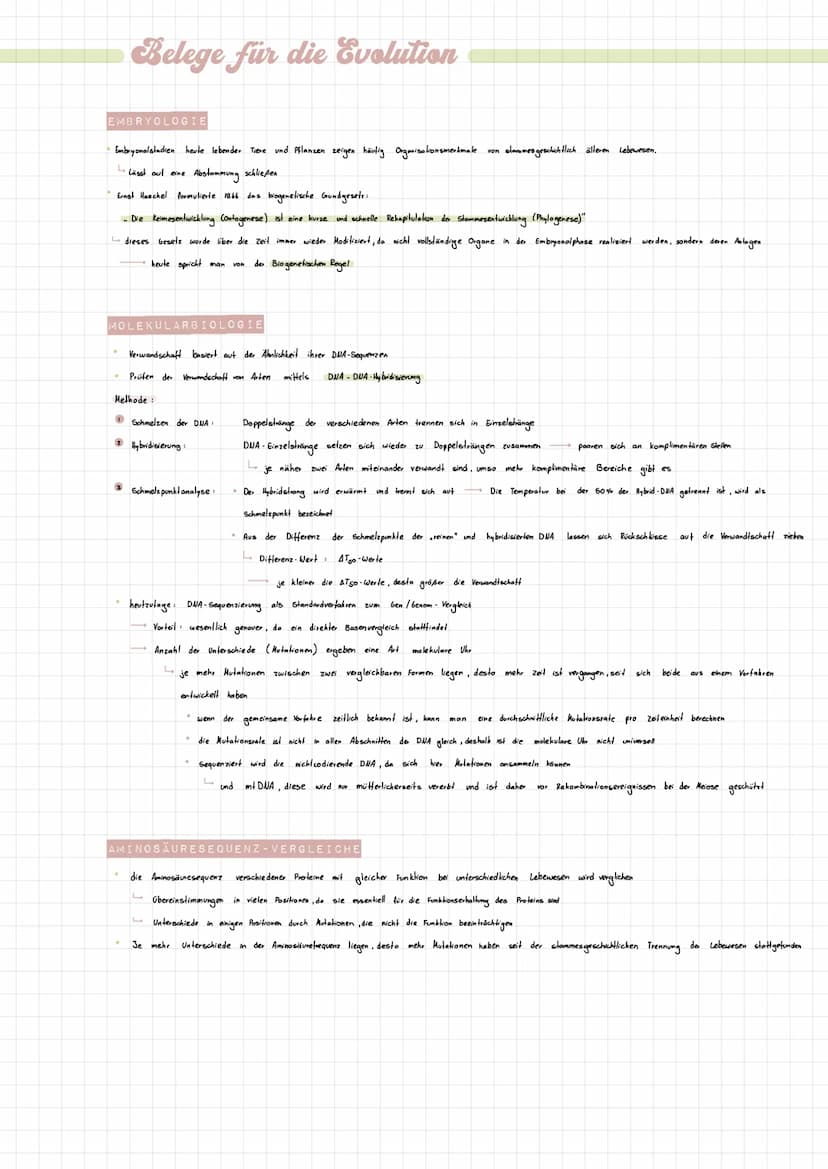 MORPHOLOGIE UND ΑΝΑΤΟΜΙΕ
Homologie: Herkmale, die auf Herkunftsgleichheit beruhen (also auf
Belege für die Evolution
.
Rudiment:
Alavismus:
