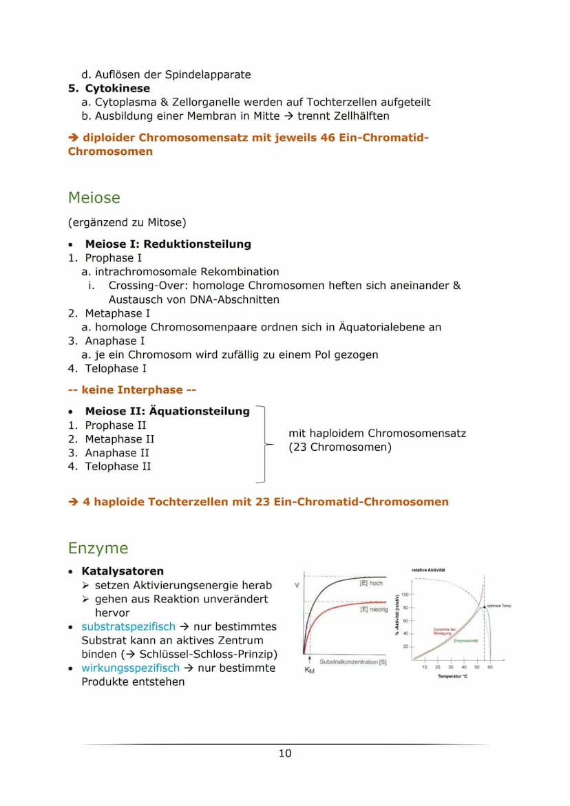 C
B. Biologie
MOTOTUTIONON
LK Abiturlernzettel 2022
von Sarah Gerber Inhaltsverzeichnis
Genetik
Vorwissen
Zellzyklus
Mitose
Meiose.....
Enzy