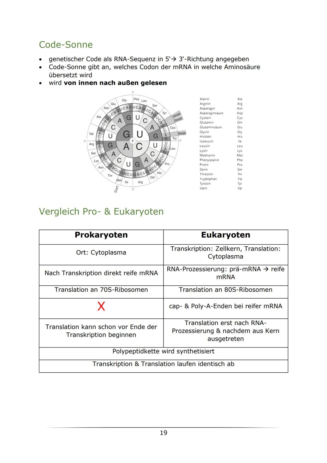 C
B. Biologie
MOTOTUTIONON
LK Abiturlernzettel 2022
von Sarah Gerber Inhaltsverzeichnis
Genetik
Vorwissen
Zellzyklus
Mitose
Meiose.....
Enzy