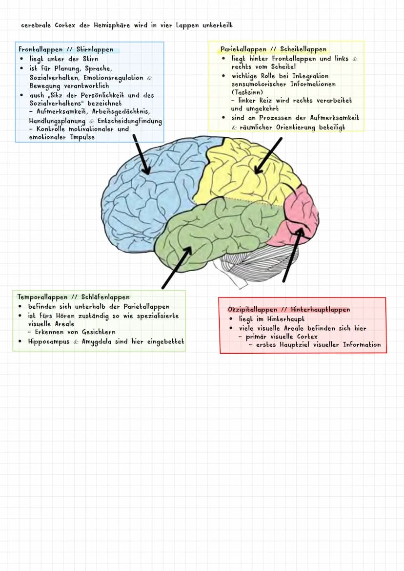 PSYCHOLOGIE BIOLOGISCHE PSYCHOLOGIE KAPITEL 2
Was ist biologische Psychologie? 2.1
Warum braucht die Psychologie Biologie ? 2.1.1
Es werden 