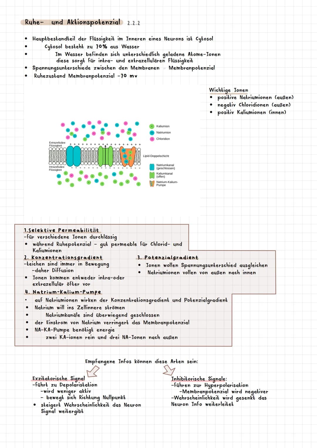 PSYCHOLOGIE BIOLOGISCHE PSYCHOLOGIE KAPITEL 2
Was ist biologische Psychologie? 2.1
Warum braucht die Psychologie Biologie ? 2.1.1
Es werden 