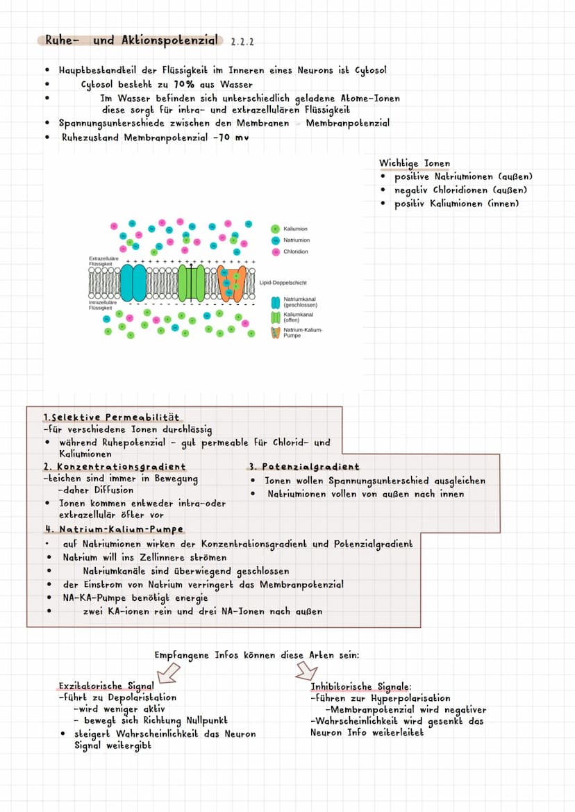 PSYCHOLOGIE BIOLOGISCHE PSYCHOLOGIE KAPITEL 2
Was ist biologische Psychologie? 2.1
Warum braucht die Psychologie Biologie ? 2.1.1
Es werden 