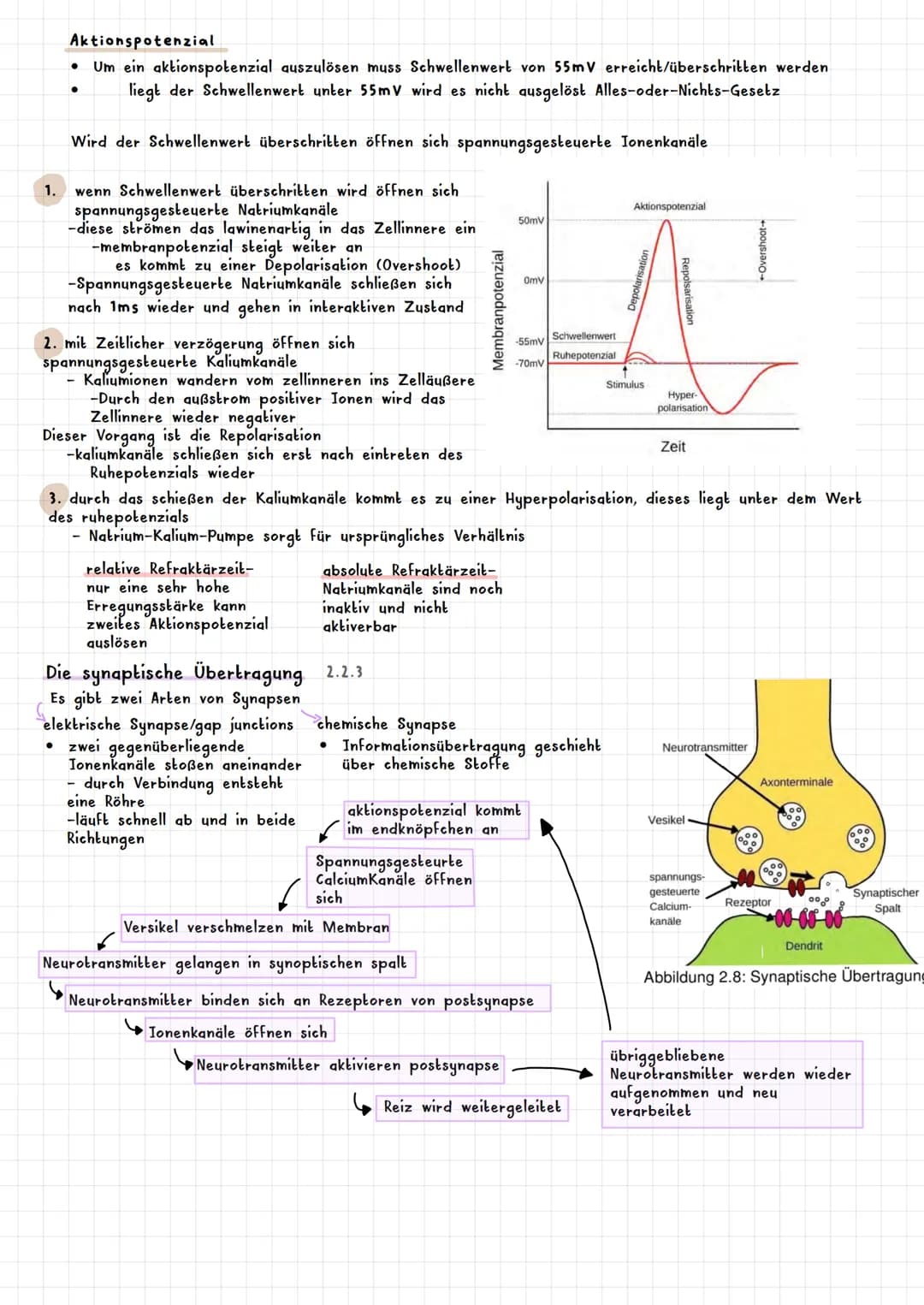 PSYCHOLOGIE BIOLOGISCHE PSYCHOLOGIE KAPITEL 2
Was ist biologische Psychologie? 2.1
Warum braucht die Psychologie Biologie ? 2.1.1
Es werden 