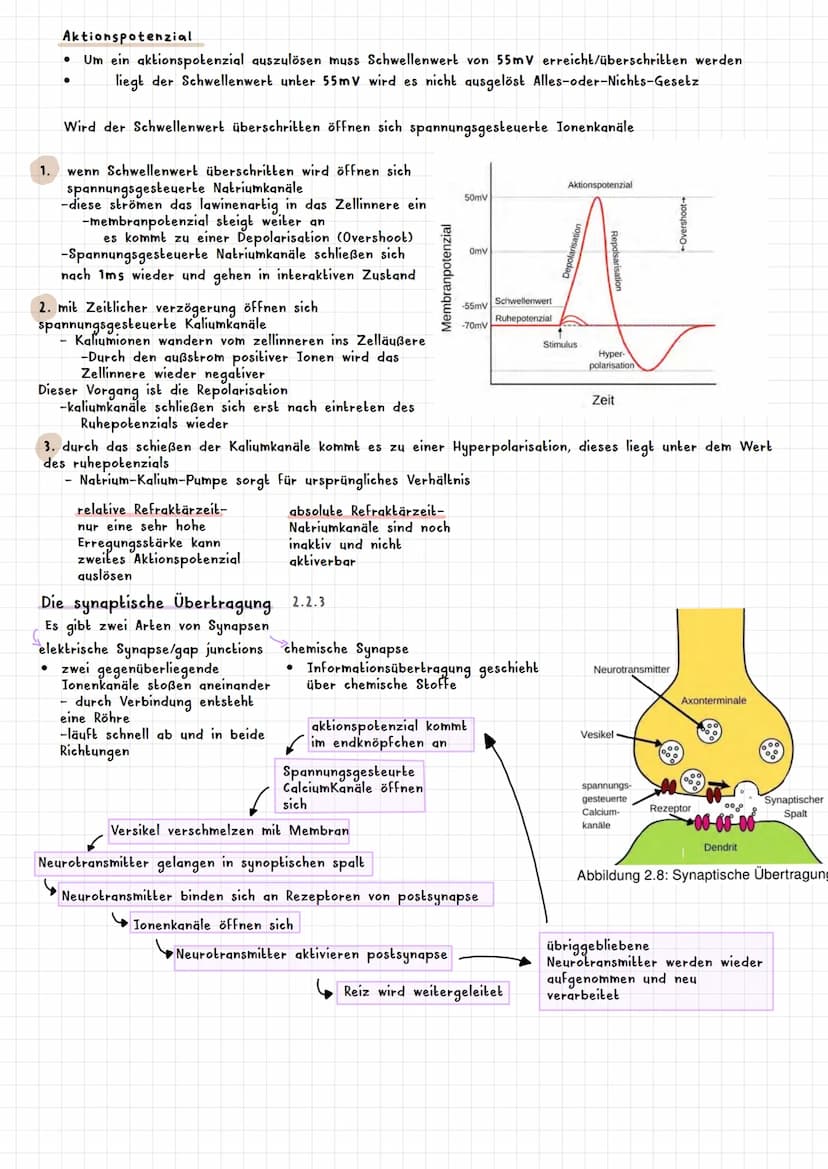 PSYCHOLOGIE BIOLOGISCHE PSYCHOLOGIE KAPITEL 2
Was ist biologische Psychologie? 2.1
Warum braucht die Psychologie Biologie ? 2.1.1
Es werden 