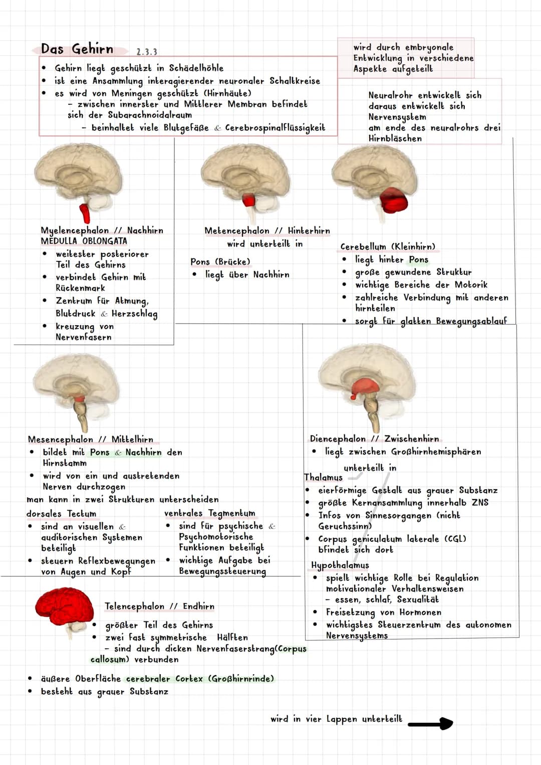 PSYCHOLOGIE BIOLOGISCHE PSYCHOLOGIE KAPITEL 2
Was ist biologische Psychologie? 2.1
Warum braucht die Psychologie Biologie ? 2.1.1
Es werden 