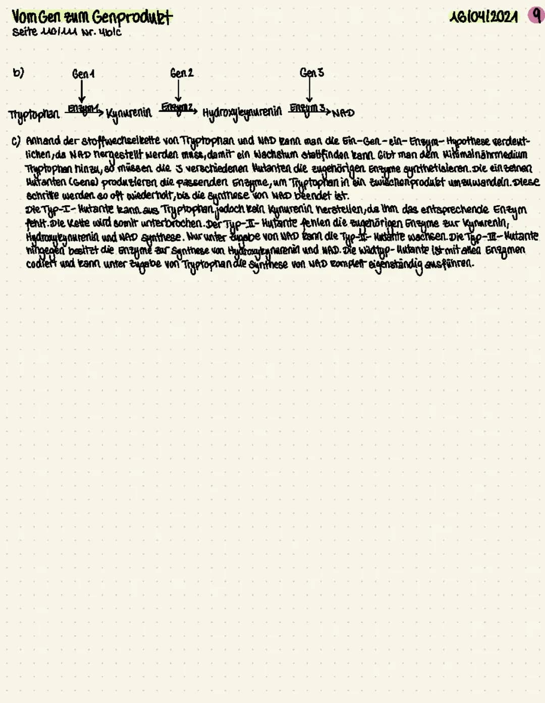 Wie erfolgt die NAD+-Synthese bei Neurospora crassa? | Ein-Gen-ein-Enzym-Hypothese Beispiel und mehr
