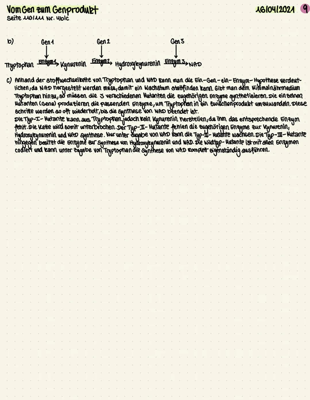 Vom Gen zum Genprodukt
Seite Molm Nr. 4blc.
b).
Gen1
Gen 2
Gen 3
1610412021
Enzym1 Kynurenin
Eneum2,
Tryptophan
Hydroxylynurenin Enzym 3 > N