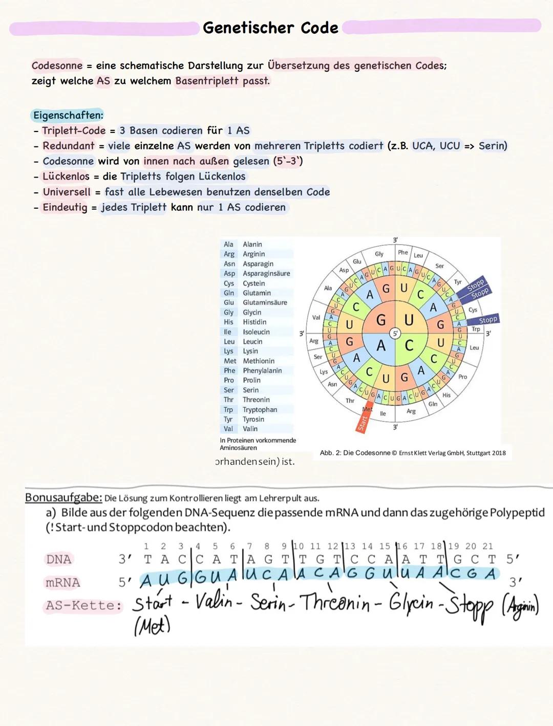 # DNA

= Desoxyribonukleinsäure (Eukaryoten = Zellkern;
Prokaryot Cytoplasma)

Die (4) Basen der DNA werden gegenseitig, also komplementär,
