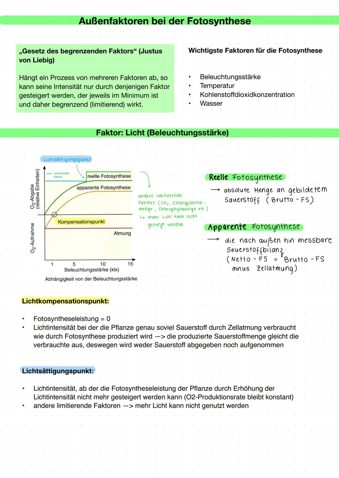 Das Arbeitsblatt zum Aufbau und zur Funktion von Laubblättern