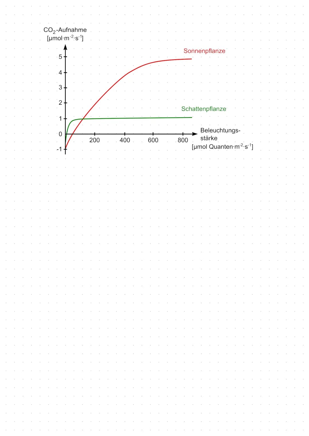 Das Arbeitsblatt zum Aufbau und zur Funktion von Laubblättern