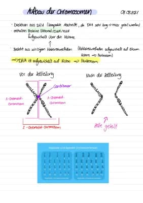 Know Chromosomen Aufbau und DNA thumbnail