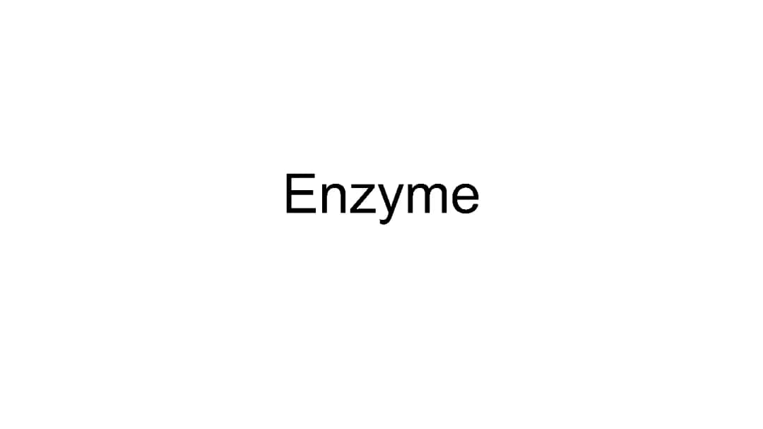 Enzyme