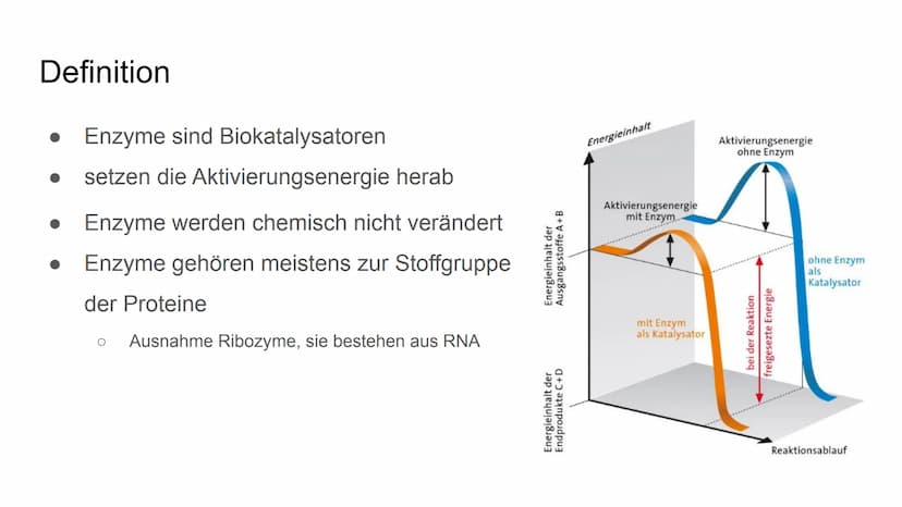 Enzyme Gliederung
Definition
Biochemie
●
Enzymkinetik
● Nomenklatur
Klassifizierung
Systematik
Regulation von Stoffwechselprozessen
Bedeutun