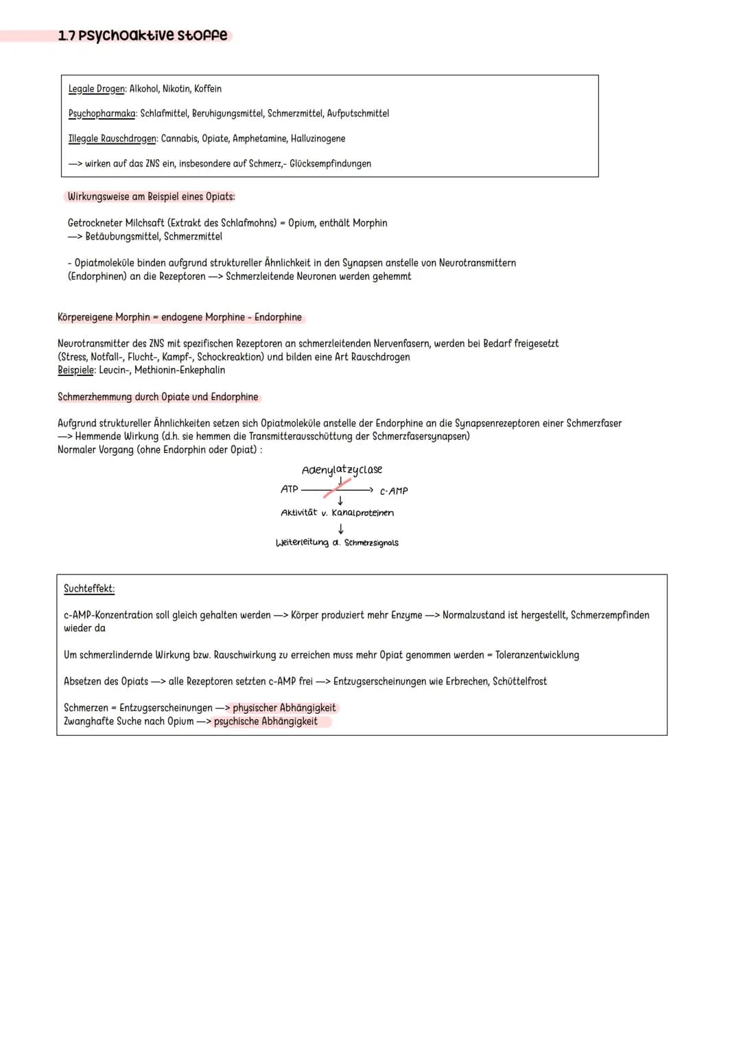 Erregende und hemmende Synpasen
Exzitatorisch/ erregende Synapse
Bindung von Neurotransmitter an
ligandengesteuerte Rezeptoren der
postsynap