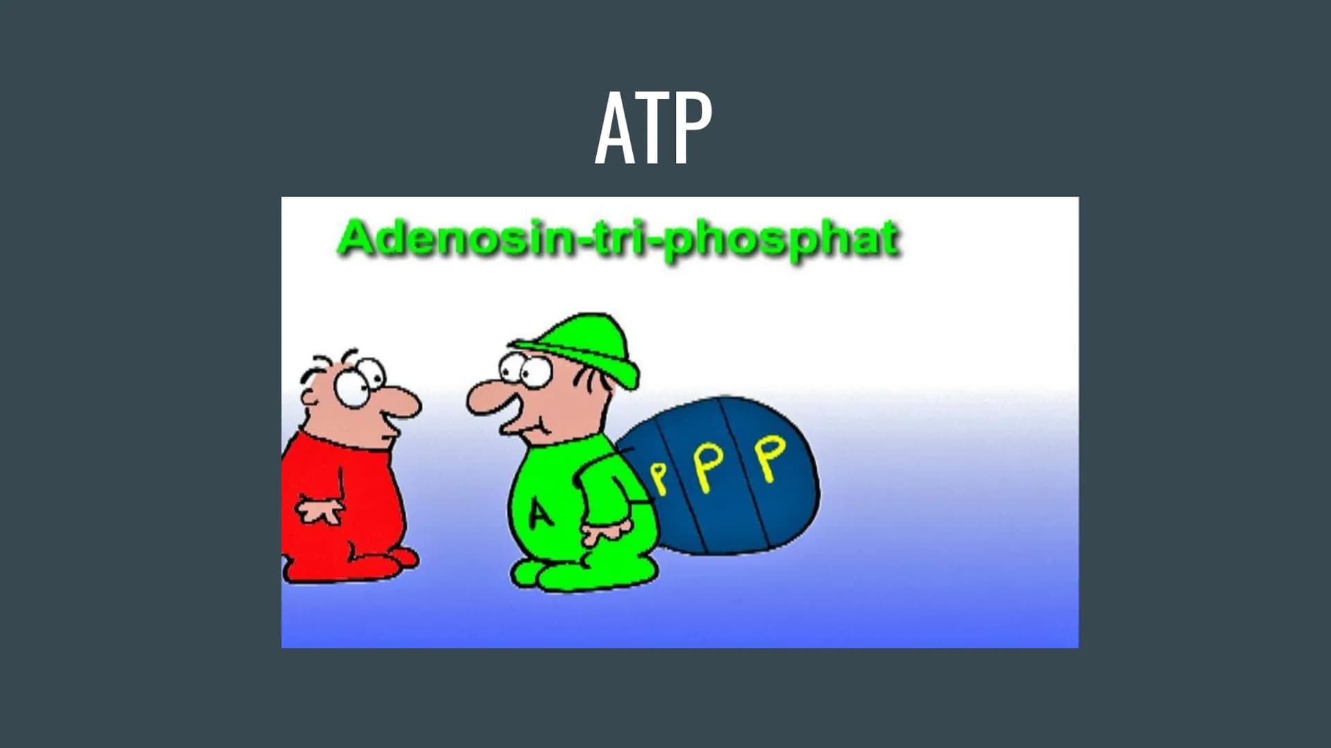 ATP
Adenosin-tri-phosphat
PPP Allgemeine Informationen über ATP
ATP = Andenosintriphosphat/„, universelle Energiewährung"
ATP ist ein Chemis