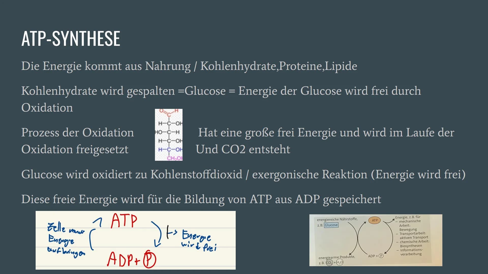 ATP
Adenosin-tri-phosphat
PPP Allgemeine Informationen über ATP
ATP = Andenosintriphosphat/„, universelle Energiewährung"
ATP ist ein Chemis