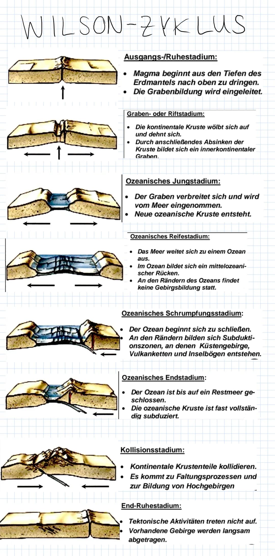 1. Erdkruste
Dozeanische Kruste Ozeanböden.
aus vulkanischem Gestein
Kontinentale Kruste Kontinente+ Schelfbereiche
aus leichteren Gesteinen