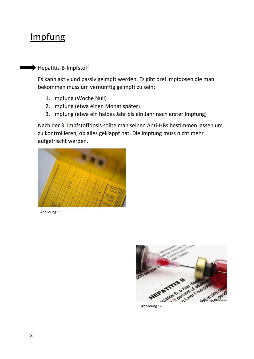 Hepatitis B
Abbildung 1
Thema: Infektionskrankheiten Inhaltsverzeichnis
1. Einleitung
2. Allgemein
3. Erreger
4. Verbreitung
5. Übertagung
6