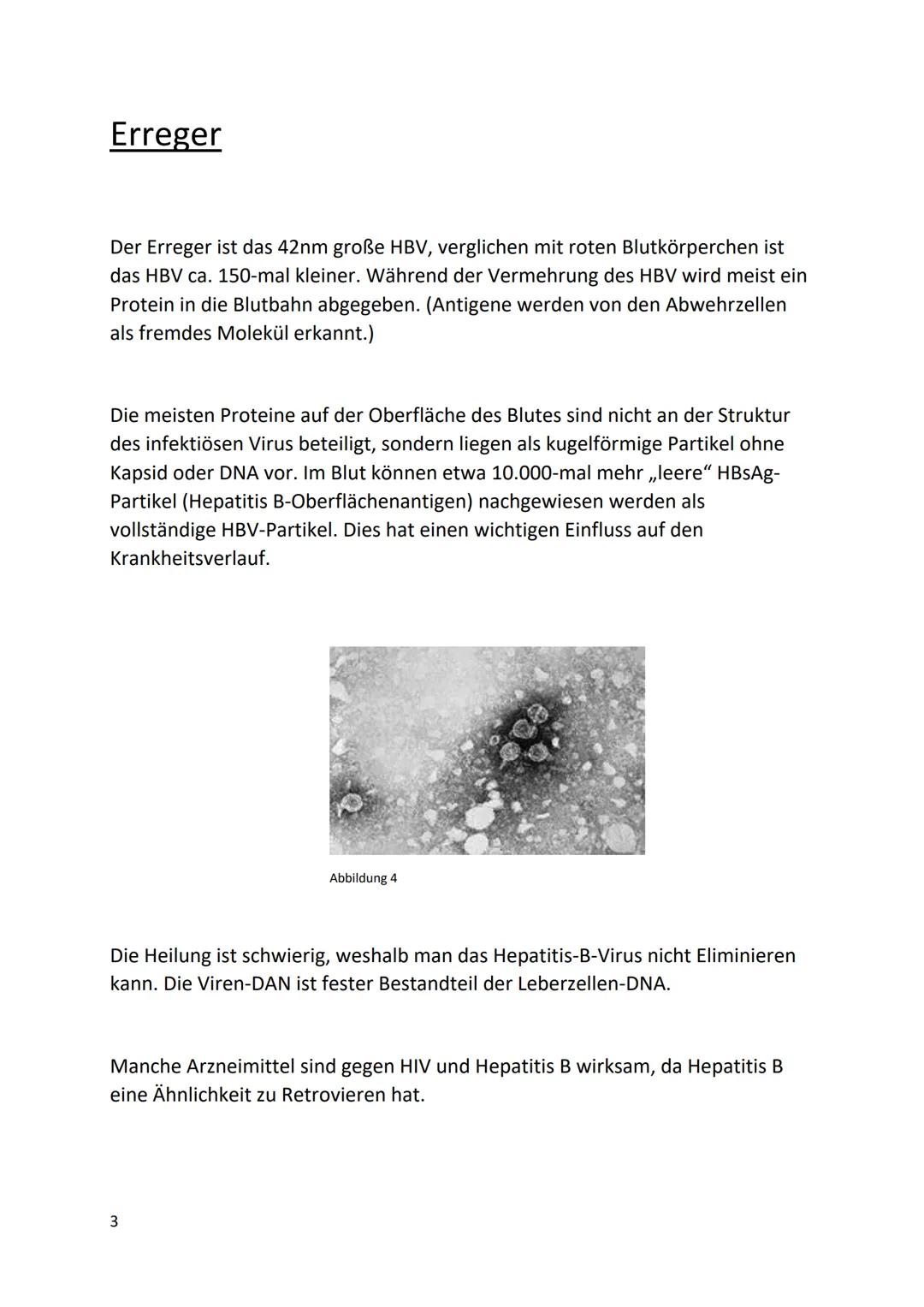 Hepatitis B
Abbildung 1
Thema: Infektionskrankheiten Inhaltsverzeichnis
1. Einleitung
2. Allgemein
3. Erreger
4. Verbreitung
5. Übertagung
6