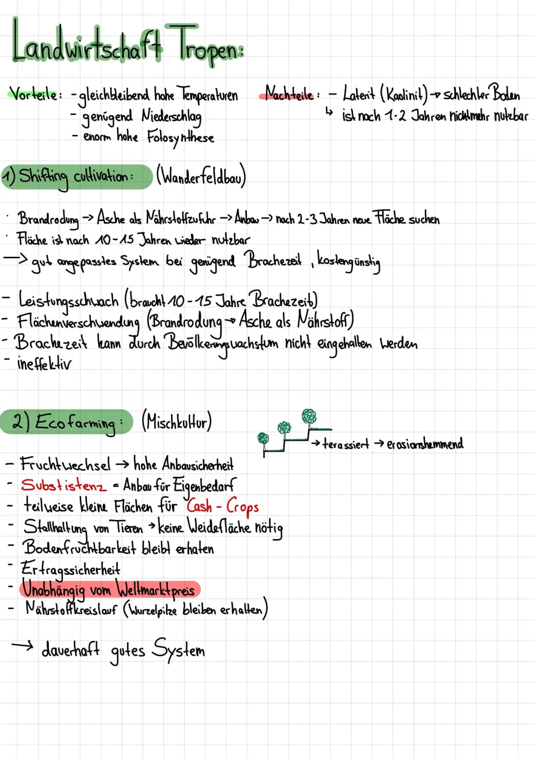 Klima & Co..
Hadley-Zelle:
Hadley-
Zelle
S
H
nördlicher Wendekreis
(Wendekreiswüste) 6 ITC
Äquator
N-O-Passat
:
Passatwinde
Wehen von Norden