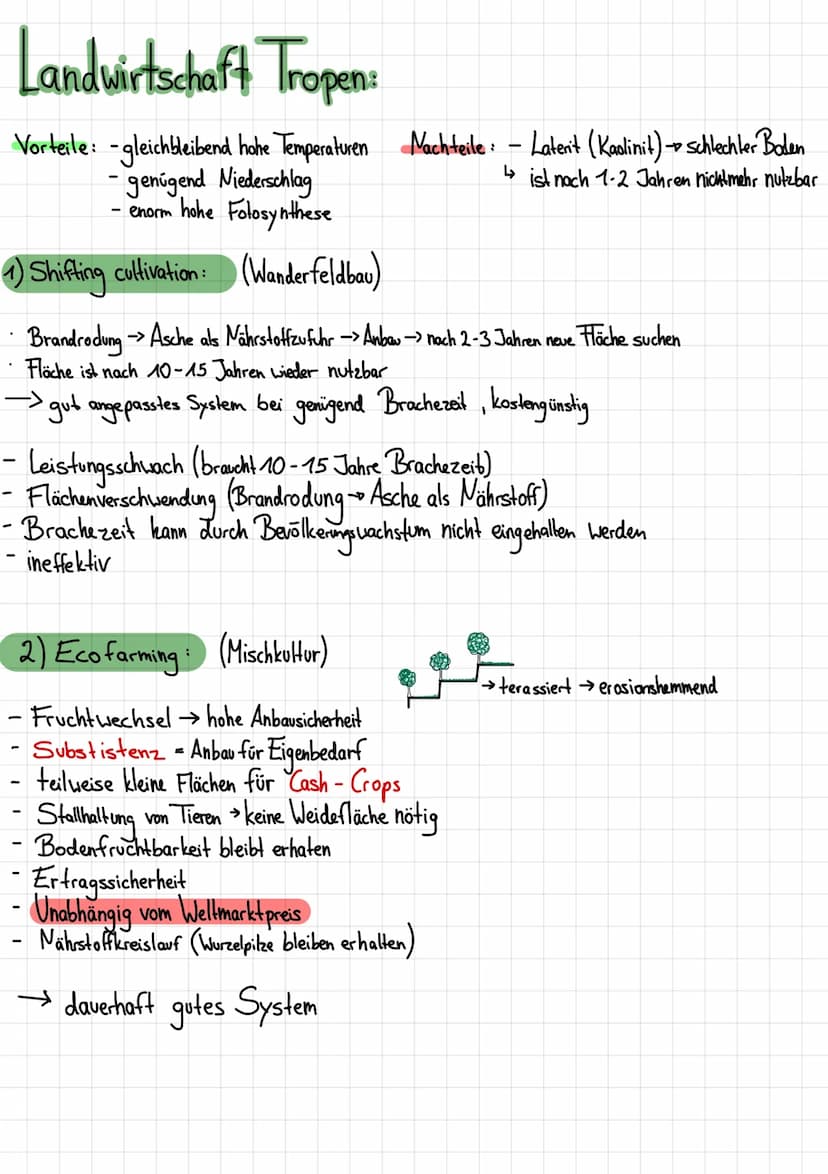 Klima & Co..
Hadley-Zelle:
Hadley-
Zelle
S
H
nördlicher Wendekreis
(Wendekreiswüste) 6 ITC
Äquator
N-O-Passat
:
Passatwinde
Wehen von Norden