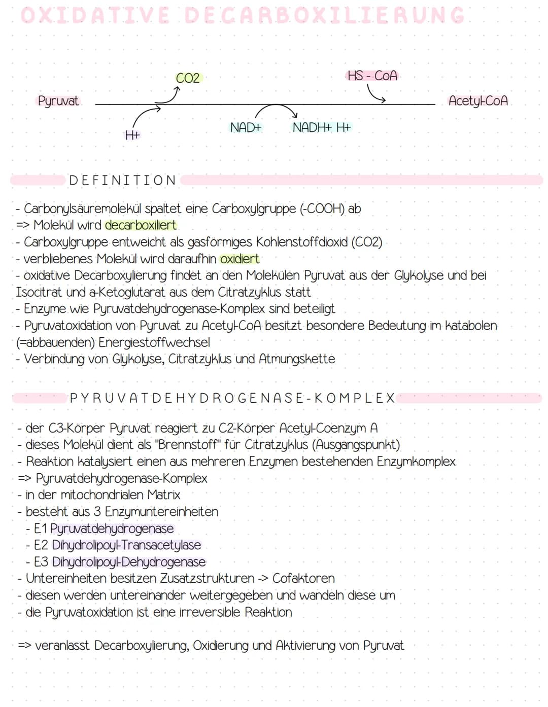 GLYKOLYSE!
Glucose
-ATP
ADP
Glucose-6-phosphat
Fructose-6-Phosphat
-ATP
ADP
Fructose-1,6-biphosphat
NAD+
NADH+ H+
Glycerinaldehyd-3-phosphat