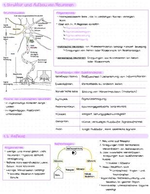 Know Neurobiologie  thumbnail