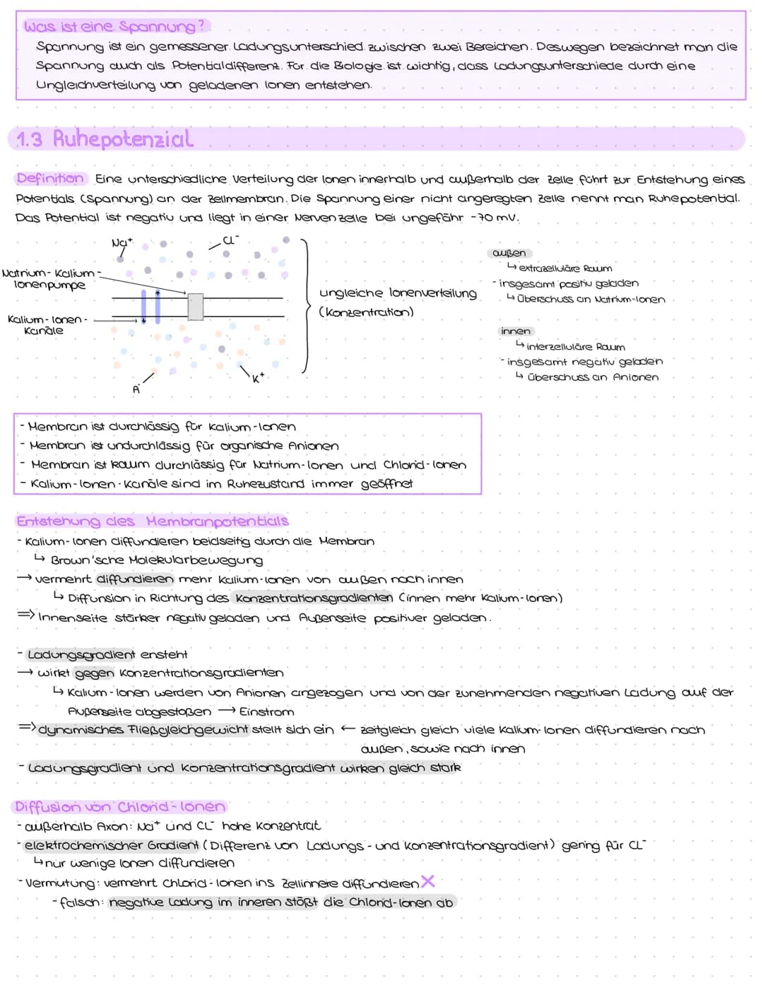 1. Struktur und Aufbau von Neuronen
Grundbauplan
Signal-
aufnahme
region
Signal-Auslöse-
Signal-
fortleitung
$
Axon einer vorgeschalteten Ne