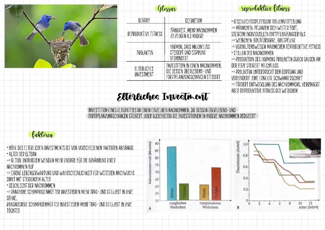 Entdecke die Soziobiologie: Elterliche Investition und Kluge Tiere