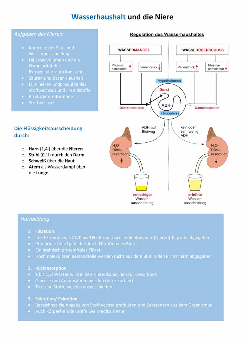 Fettlösliche Vitamine
Vitamine
Vitamin A
Retinol
Vitamin D
Calciferol
Vitamin E
Tocopherole
Vitamin K
Phyllochinone
Vitamine
Vitamin B₁
Thia