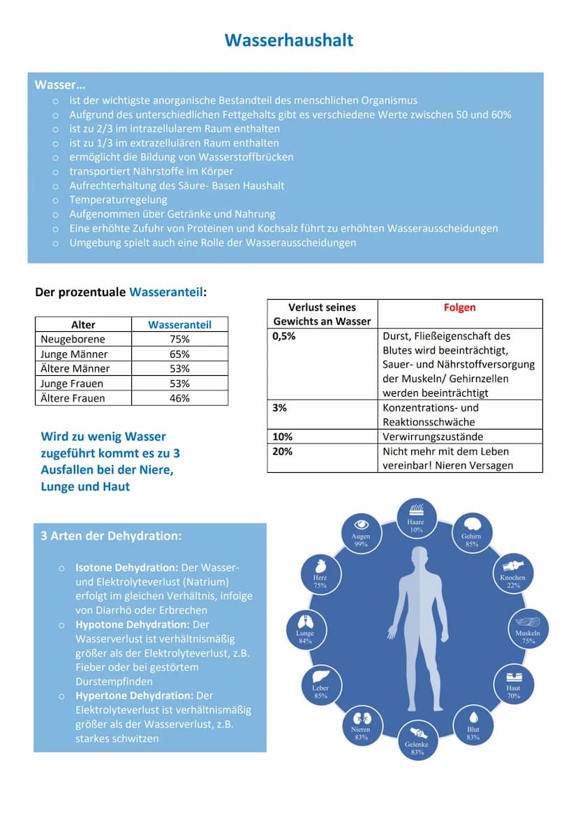 Fettlösliche Vitamine
Vitamine
Vitamin A
Retinol
Vitamin D
Calciferol
Vitamin E
Tocopherole
Vitamin K
Phyllochinone
Vitamine
Vitamin B₁
Thia