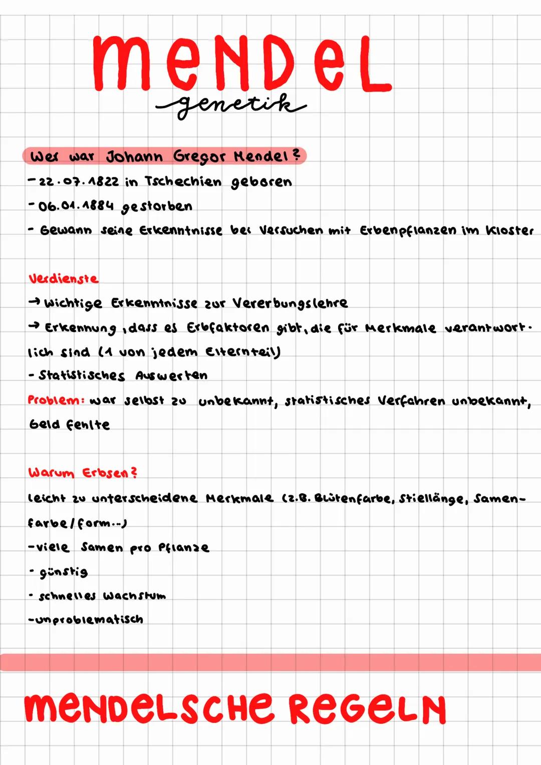 MENDEL
genetik
Wer war Johann Gregor Mendel?
-22.07.1822 in Tschechien geboren
-06.01.1884 gestorben.
Gewann seine Erkenntnisse bei versuche