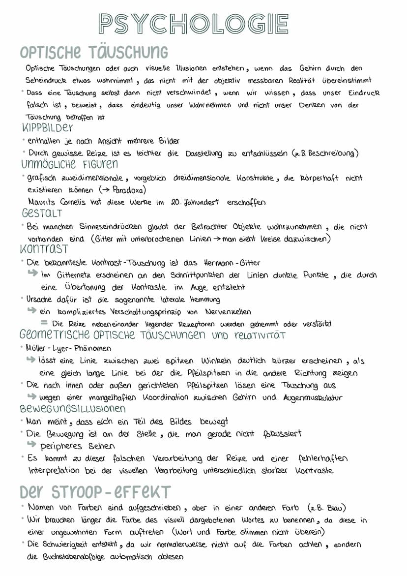 INTELLIGENZ
Lernkapazität
Verbale Ausdrucksweise
●
Verknüpfungsfähigkeit
Auffassungsfähigkeit
Mathematisches Grundwissen
Erinnerungsvermögen