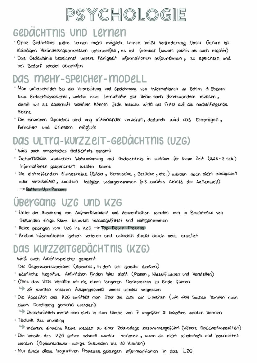 INTELLIGENZ
Lernkapazität
Verbale Ausdrucksweise
●
Verknüpfungsfähigkeit
Auffassungsfähigkeit
Mathematisches Grundwissen
Erinnerungsvermögen