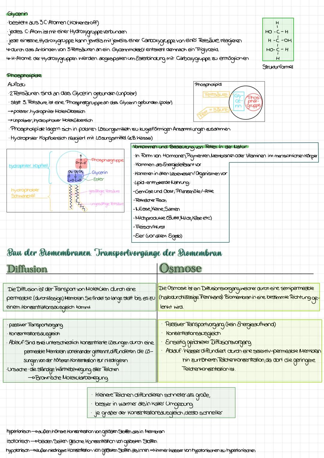 Lernzettel-Biologie
Inhaltsstoffe von Zellen Aufbau und Eigenschaften von Lipiden
Was sind Lipide?
Lipide, also Fette sind sowohl bei Pflanz